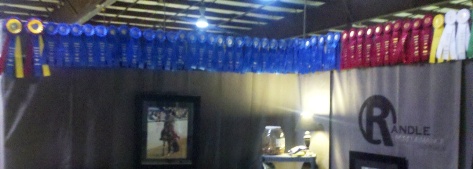 Randle Performance Horses Colorado Classic