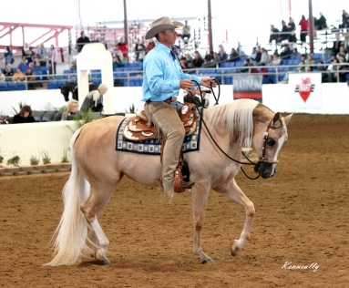 Buckshots Lil Rascal at Scottsdale