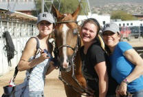 Randle Performance Horses Fun